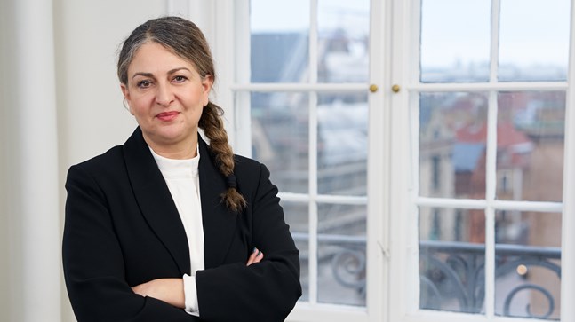 Portrait of teacher on Niels Brock Copenhagen Business College Dimitra Makri Andersen